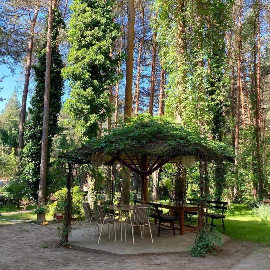 Vila Dunavski Raj Golubac Bagian luar foto